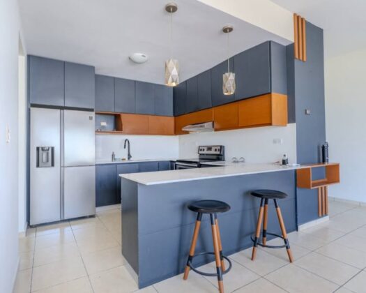 Se Vende Hermoso Apartamento en Colonia San Francisco